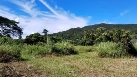 Land for sale in Sai Khao, Chiang Rai