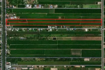 Land for sale in Bueng Bon, Pathum Thani