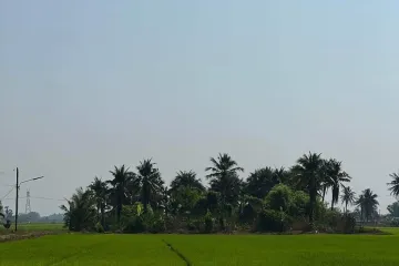 Land for sale in Bueng Bon, Pathum Thani