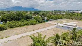 Land for sale in Nong Faek, Chiang Mai