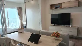1 Bedroom Condo for rent in Supalai Blue Whale Hua Hin, Hua Hin, Prachuap Khiri Khan