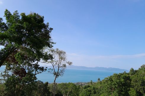 Land for sale in Mae Nam, Surat Thani
