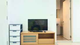 1 Bedroom Condo for rent in Aspire Sukhumvit 48, Phra Khanong, Bangkok near BTS Phra Khanong