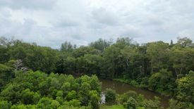 Land for sale in Mai Khao, Phuket