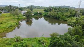 Land for sale in Mai Khao, Phuket