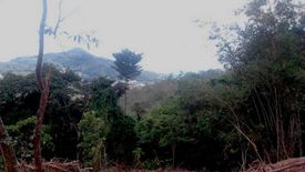 Land for sale in Kamala, Phuket