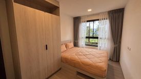 1 Bedroom Condo for rent in THE BASE Bukit, Wichit, Phuket
