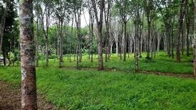 Land for sale in Si Sunthon, Phuket