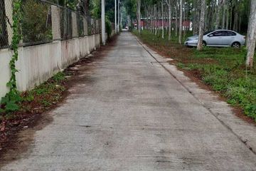 Land for sale in Si Sunthon, Phuket