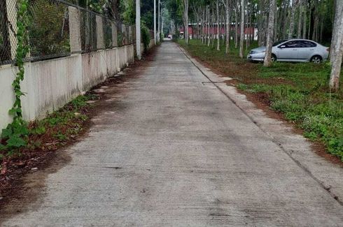 Land for sale in Si Sunthon, Phuket