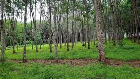 Land for sale in Si Sunthon, Phuket