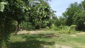 Land for sale in Na Jomtien, Chonburi