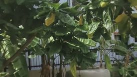 Land for sale in Na Jomtien, Chonburi