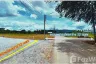 Land for sale in Mu Si, Nakhon Ratchasima