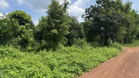 Land for sale in Pho Ngam, Prachin Buri