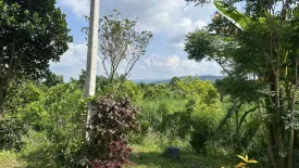 Land for sale in Pho Ngam, Prachin Buri