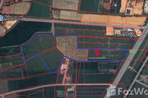 Land for sale in Rim Kok, Chiang Rai