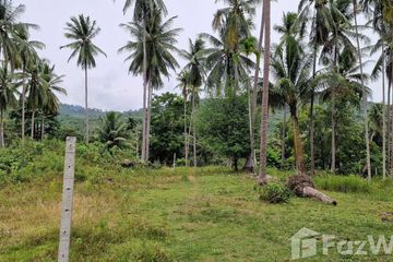 Land for sale in Khanom, Nakhon Si Thammarat