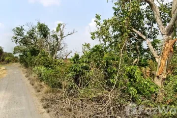 Land for sale in Nong Sam Wang, Pathum Thani