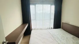 1 Bedroom Condo for rent in The Base Rama 9 - Ramkhamhaeng, Hua Mak, Bangkok near MRT Ramkhamhaeng 12