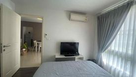 1 Bedroom Condo for rent in D VIENG Santitham, Chang Phueak, Chiang Mai