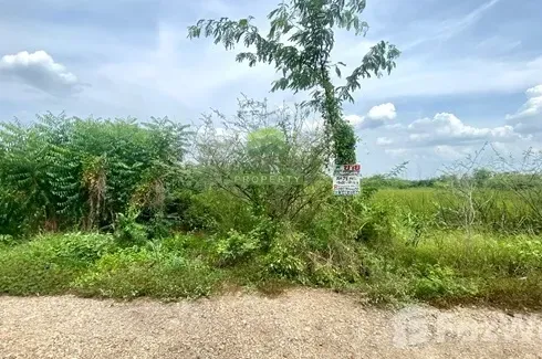 Land for sale in Asa, Nakhon Nayok