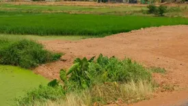 Land for sale in Nong Takai, Nakhon Ratchasima