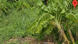 Land for sale in Bang Chang, Nakhon Pathom