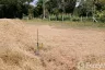 Land for sale in Nong Rawiang, Nakhon Ratchasima