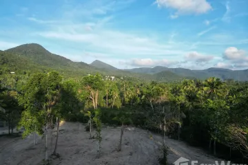 Land for sale in Ko Pha-ngan, Surat Thani