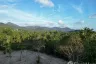 Land for sale in Ko Pha-ngan, Surat Thani