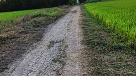 Land for sale in Bueng San, Nakhon Nayok