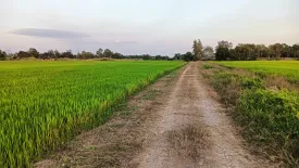 Land for sale in Bueng San, Nakhon Nayok