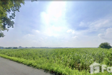 Land for sale in Nong Chak, Chonburi