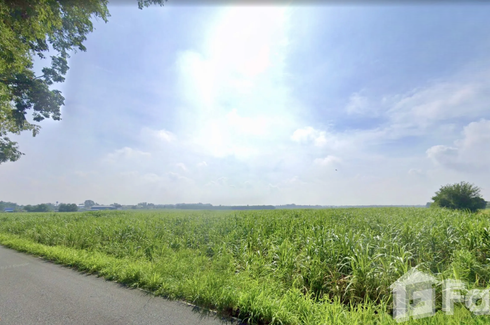 Land for sale in Nong Chak, Chonburi