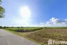 Land for sale in Nong Chak, Chonburi