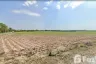 Land for sale in Nong Chak, Chonburi
