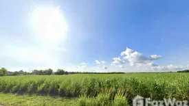 Land for sale in Nong Chak, Chonburi