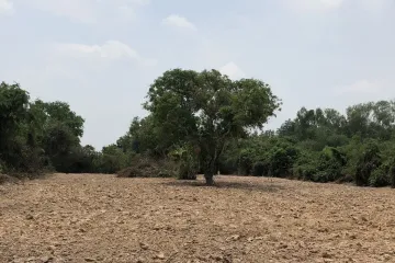 Land for sale in Ban Phrik, Nakhon Nayok