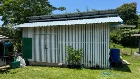 Land for sale in Tha Khao Plueak, Chiang Rai