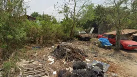 Land for sale in Bueng Bon, Pathum Thani