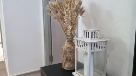 1 Bedroom Condo for rent in FYNN Asoke Sukhumvit 10, Khlong Toei, Bangkok near BTS Asoke