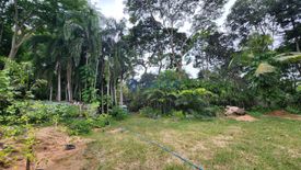 Land for sale in Pong, Chonburi