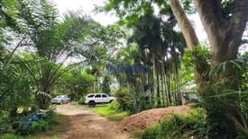 Land for sale in Pong, Chonburi
