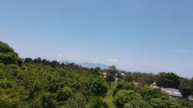 Land for sale in Bo Phut, Surat Thani