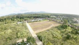 Land for sale in Thep Krasatti, Phuket