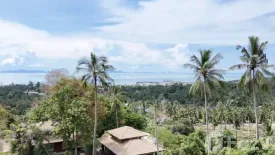 Land for sale in Ang Thong, Surat Thani