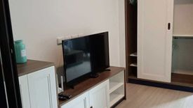 Condo for rent in THE BASE Central-Phuket, Wichit, Phuket