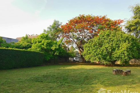 Land for sale in Fa Ham, Chiang Mai