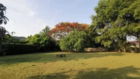 Land for sale in Fa Ham, Chiang Mai